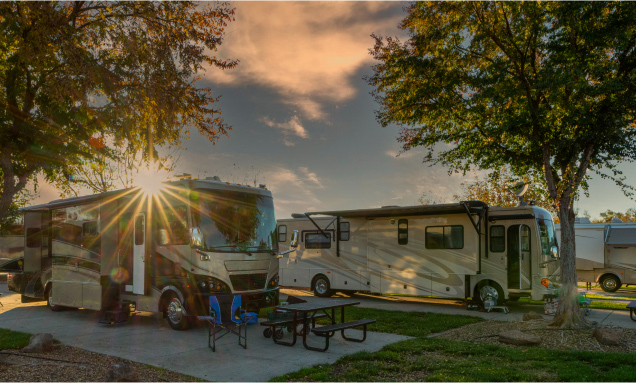 RVs parked at a campground at sunset