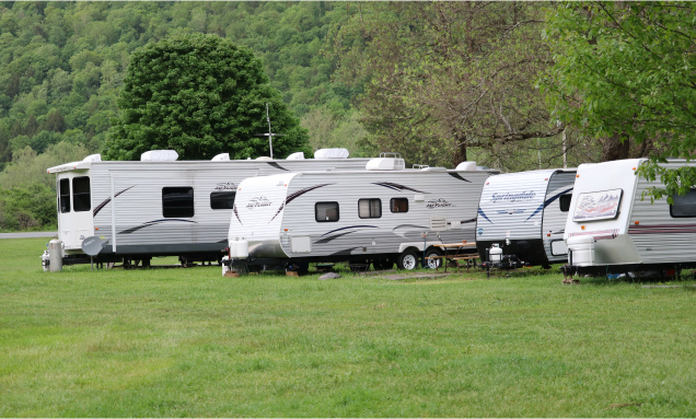 RVs parked in a wooded campground