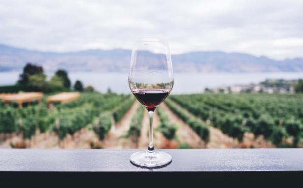 Wine glass looking over Okanagan Valley